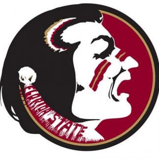 Florida State Seminoles Game Room Accessories and gifts with logos