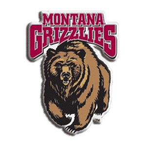 Montana Grizzlies Game Room Accessories and Gifts with Logos